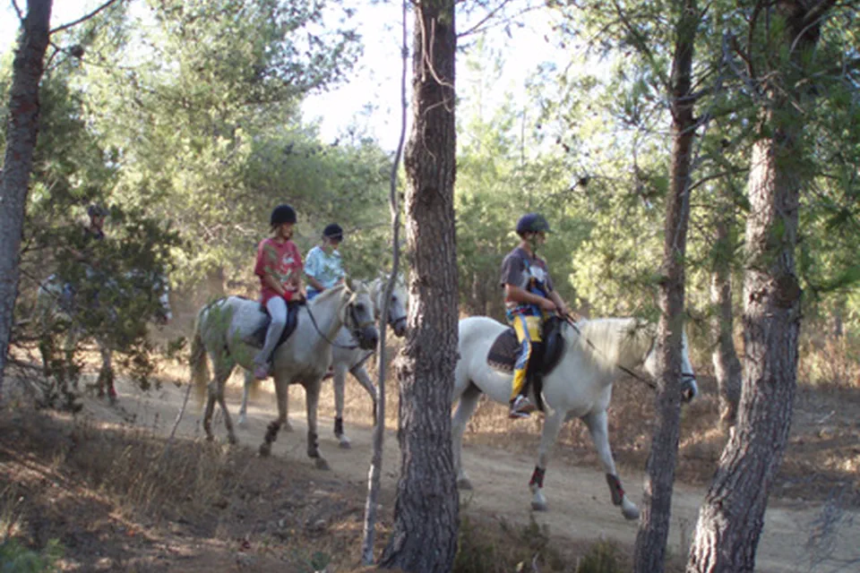 Enfants à poney sur un chemin boisé