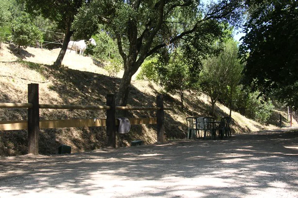 Espaces de soins ombragés sous les arbres