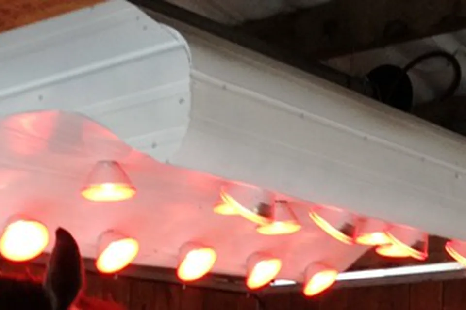 Solarium infrarouge pour chevaux